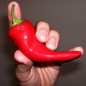 Is A Chilli a fruit?